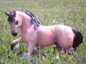 dscn3582.jpg